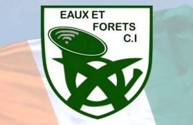 43745643_679785169072717_3295119563988926464_n_0